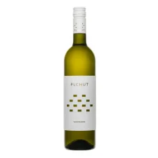Plchut Sauvignon PS 2024 suché 0,75l