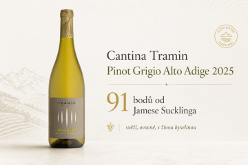 Pinot Grigio od Cantina Tramin boduje u světových kritiků