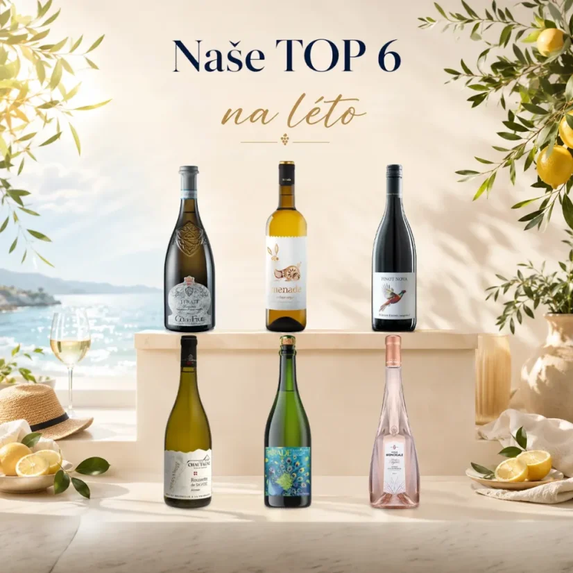 Naše TOP 6 na léto 6x0,75l