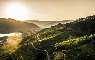 Domäne Wachau