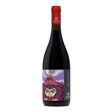 Cantine Patrì DOC Etna Rosso 0,75l