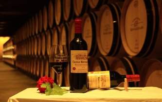 Chateau Montaiguillon