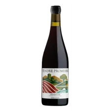 Artisans Partisans A Taste of Place | Tendre Promesse Minervois Rouge 0,75l