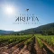 Celler Kripta vítězem Grand testu časopisu Wine & Degustation!