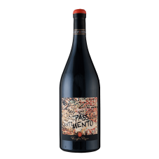 Pasqua PassioneSentimento Rosso 1,5l