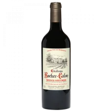 JB Audy Chateau Rocher Calon Montagne-Saint-Émilion 2020 magnum 1,5l